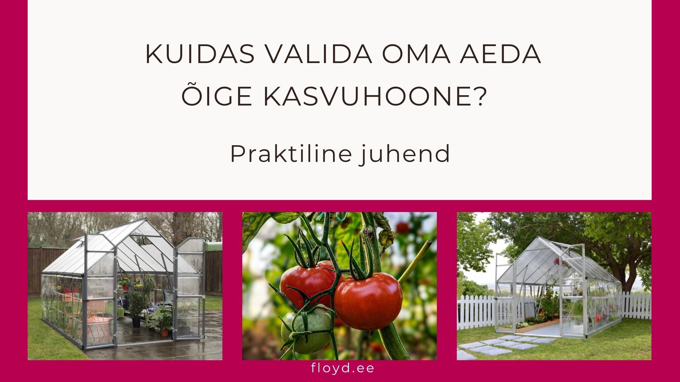 Kevade saabudes mõtlevad paljud aiapidajad, kuidas alustada uut kasvatushooaega võimalikult mugavalt ja tulemuslikult. Kasvuhoone aitab pikendada kasvuperioodi,