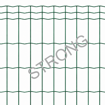 Aiavõrk roheline Strong valge taust