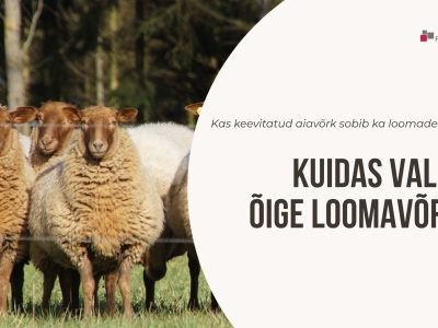 Kuidas valida õige loomavõrk