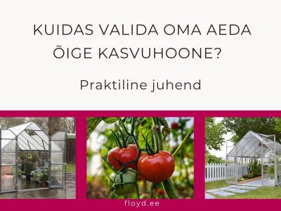 Blogipostitus. Kasvuhooned