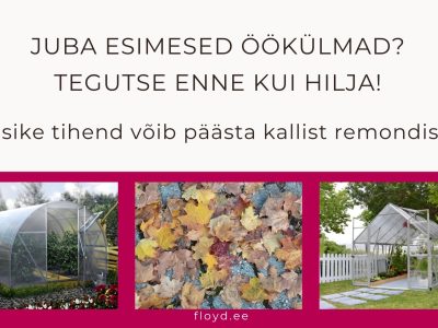 Blogipostitus. Kasvuhooned