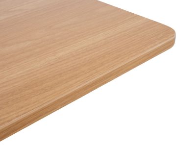 Lauaplaat Ergo mootoriga lauajalale